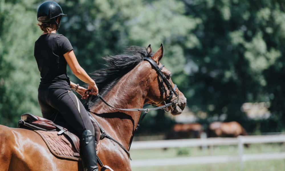 Hairstyles That Work Perfectly for Horse Riding Lessons